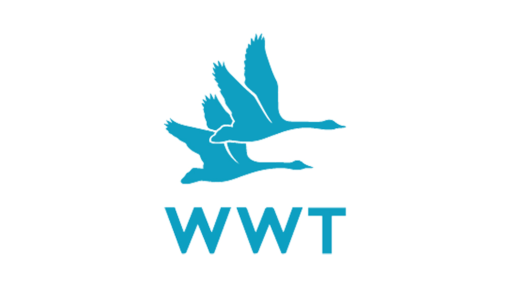 Wwt Sign In Get repeat school bookings | Buzz Education