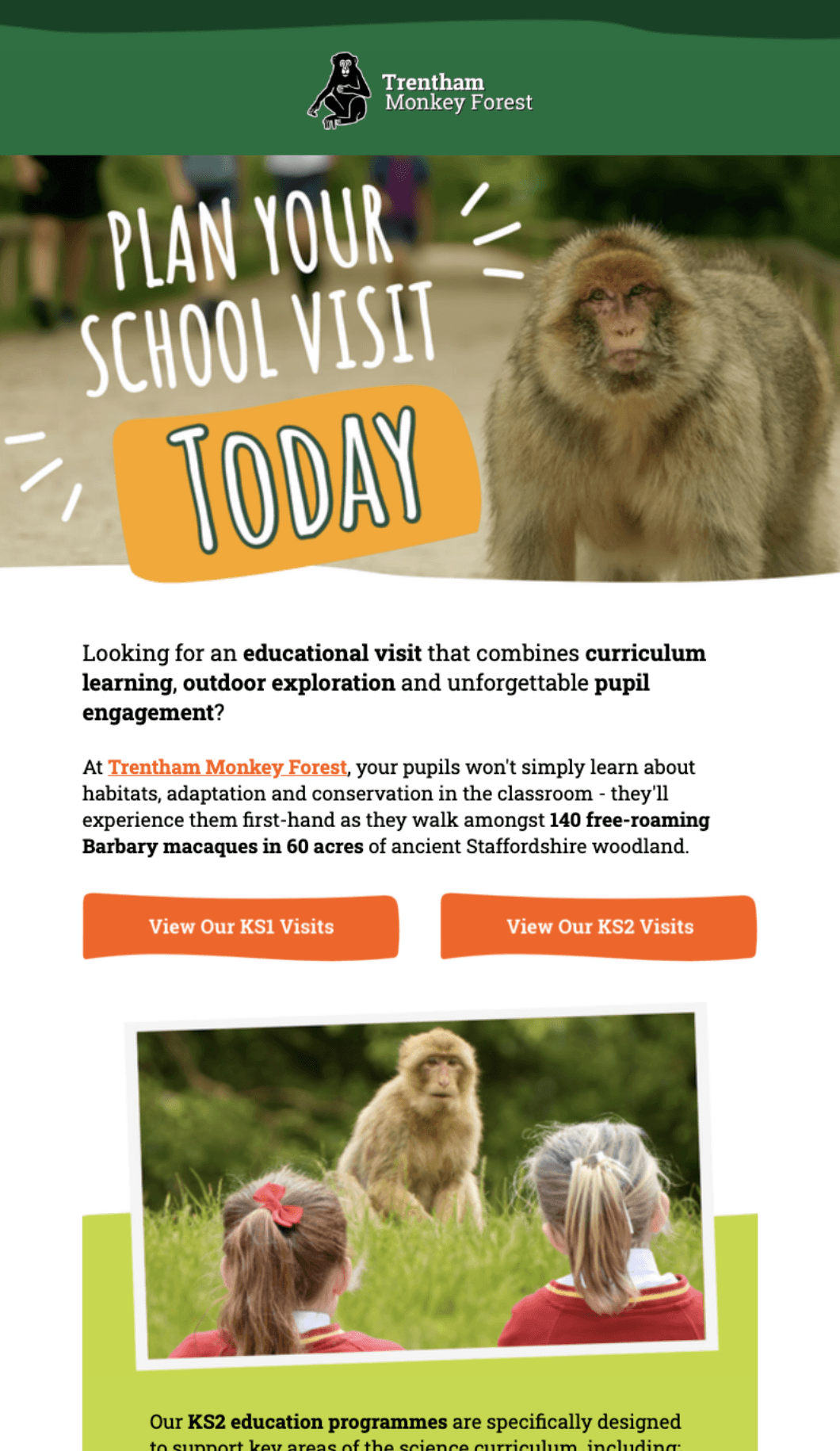 Trentham Monkey Forest email campaign example 1