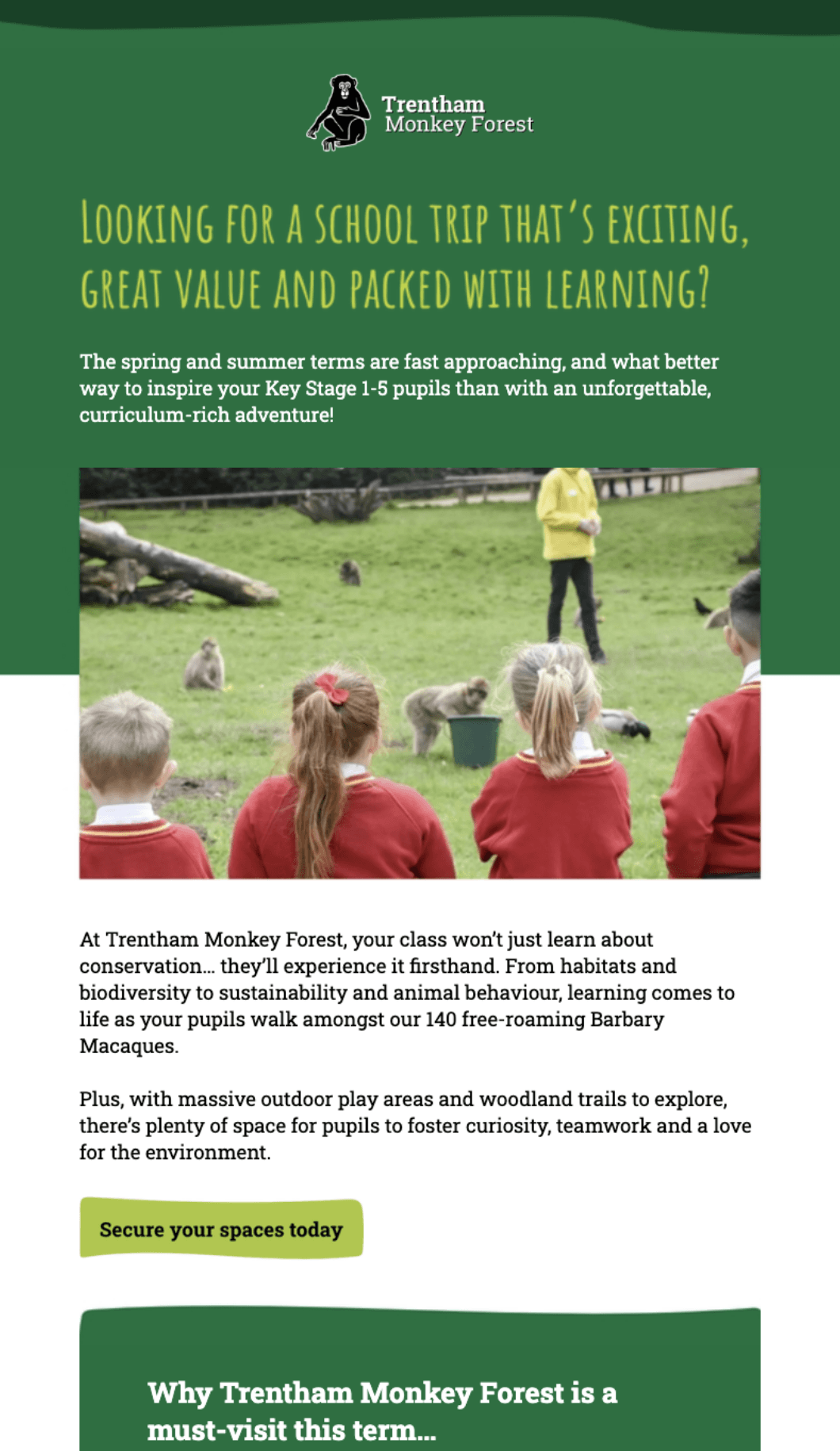 Trentham Monkey Forest email campaign example 2